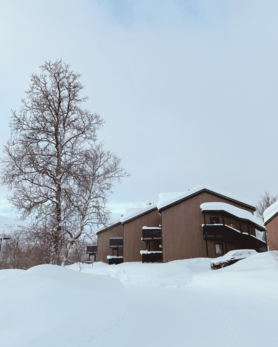 האמרפסט Skaidi Luxury Lodge - Heart Of The Arctic מראה חיצוני תמונה